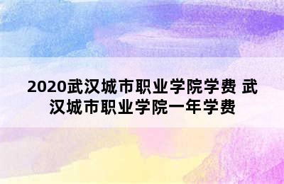 2020武汉城市职业学院学费 武汉城市职业学院一年学费